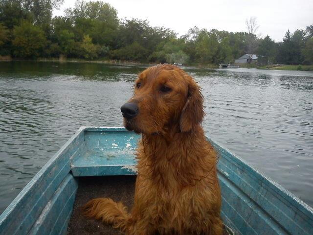 Attached picture Sammy in the row boat.jpg